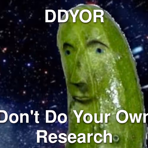 Curated Meme Collection