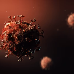 SARS-CoV-2