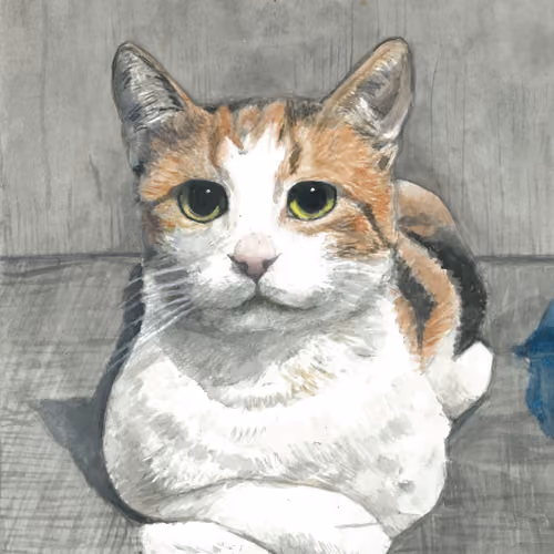 Cat Illustration #17