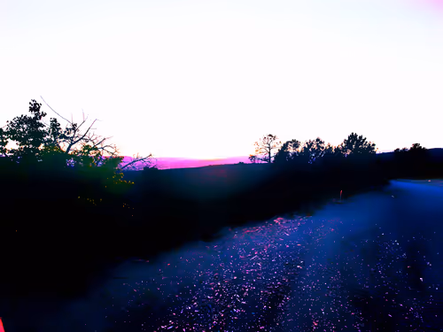 Item #95619654365631362279104295402081565260457169117877070987341217541633941176321 Media