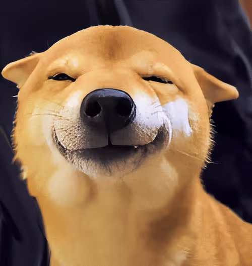 Item #34470142884482375674331152583341387110725961593908059002011227344339245989988 Media