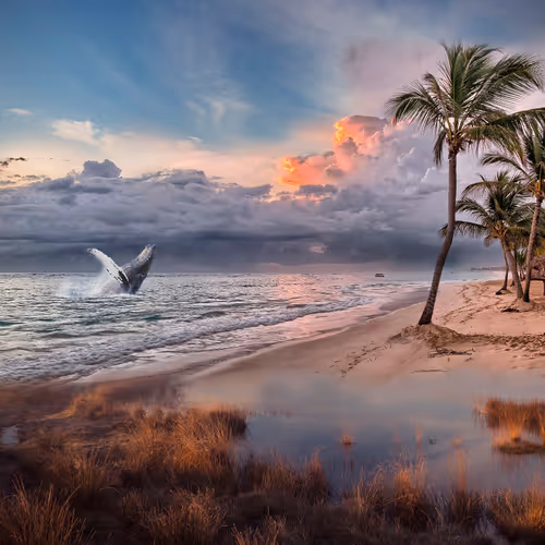 Item #82760069983447538965356808537762943241418867949819098406877624389621159821313 Media