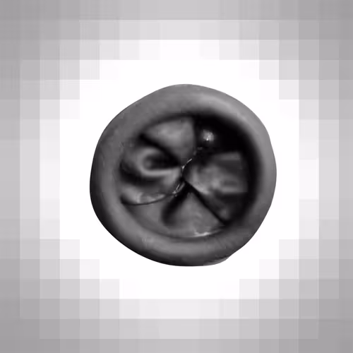 112443806312787433902540167291229144376569237612293574157816900103826963431425