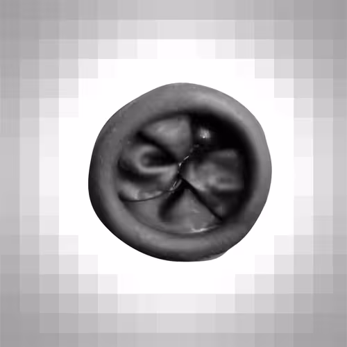 Item #112443806312787433902540167291229144376569237612293574157816900103826963431425 Media