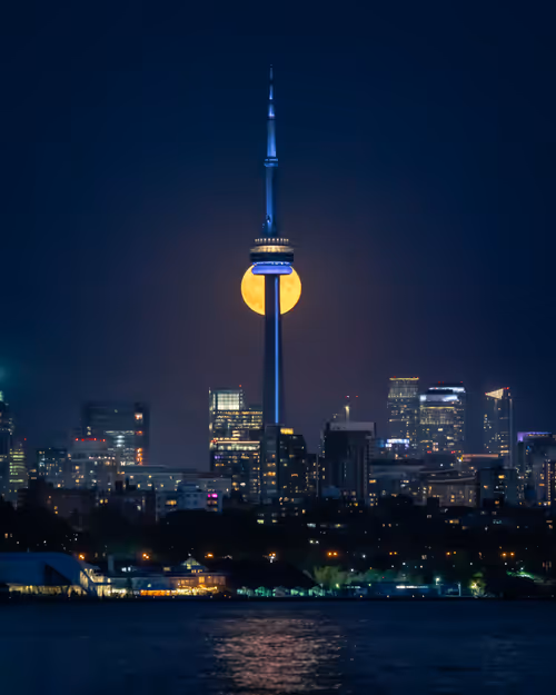 Item #25828147237821198195018353565513715926828886605696715423323237801431161372673 Media