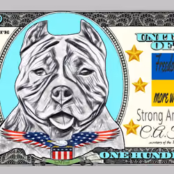 Dollar StaNFTord 93