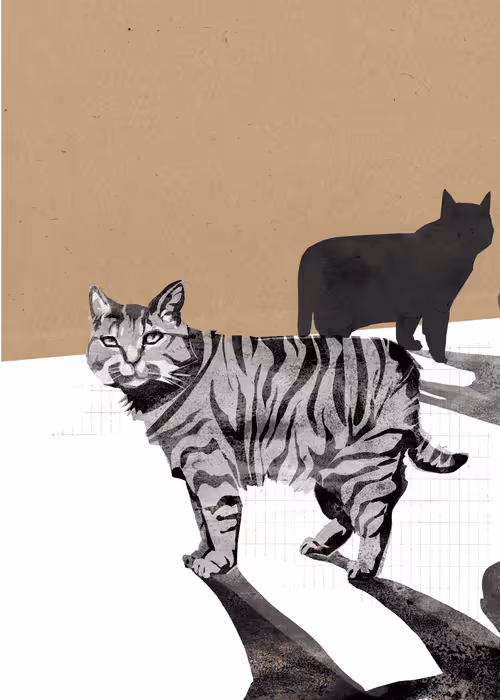 Item #36677197278733282434979004618714467068375419752773231098231422651058209423361 Media