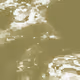 8556061733850570621173106315472467260668083661071942411625168927419833253889