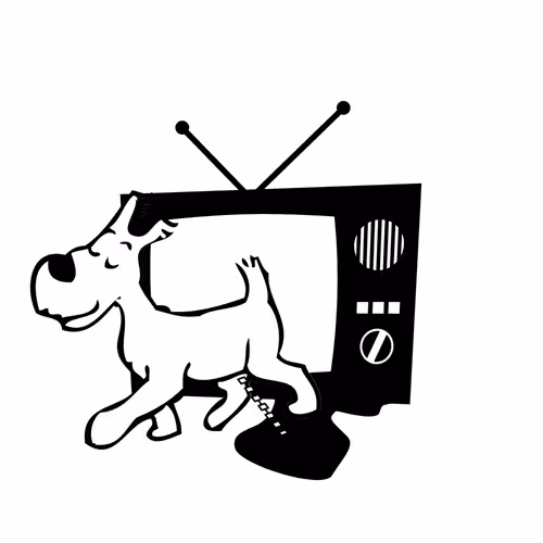 Item #75227540483884573088237676903122422150204996043670989121621617539871640911873 Media