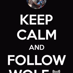 Follow Wolf
