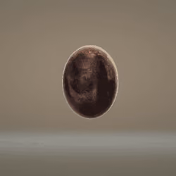 Egg 3