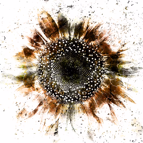 53073962384740899042870870795060500405359257335471181905092539552734264688641