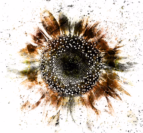 Item #53073962384740899042870870795060500405359257335471181905092539552734264688641 Media