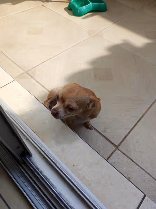 Item #67037274440608150470100459990670935726162063003688534097553106989353202089985 Media