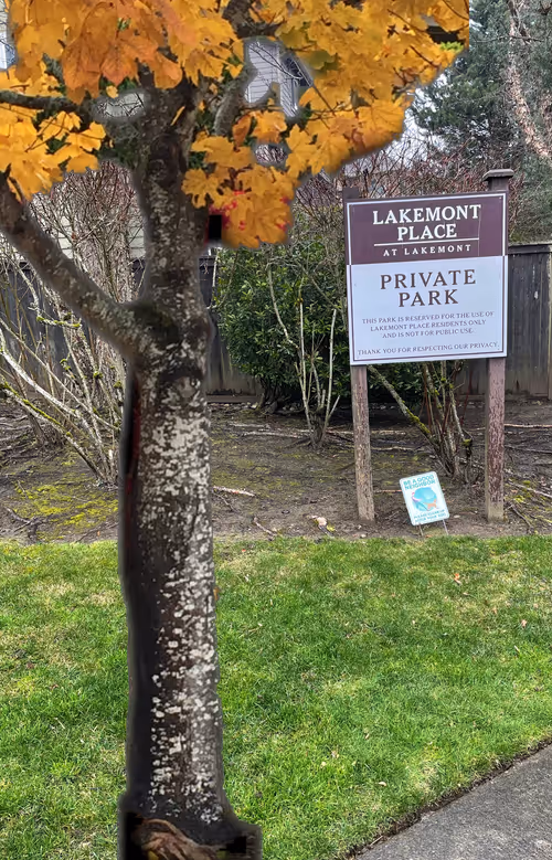 Item #98302218548154138540751170161055066086641108964287725677528013449840270770177 Media