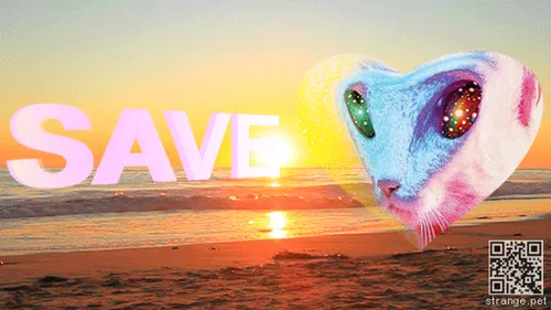 Item #59132355562186324700850821844442436394047262304885251221794294030397710794753 Media