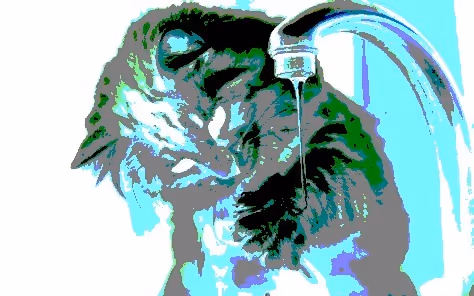 Item #23538819986925566434507765811444276093104658907602947149672917373494254108673 Media