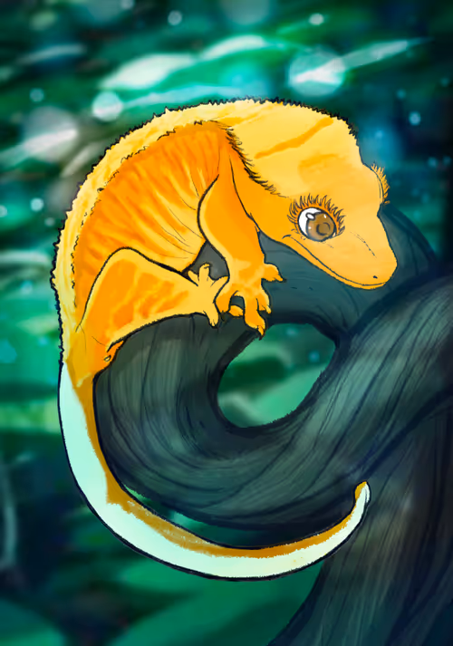 Item #23546686719633506406095790157609111049750244779414073605876924845019786903553 Media