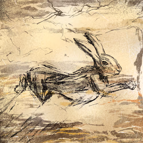 Item #42505435092464023240037635020667615408483052619425791248914544111927605329921 Media