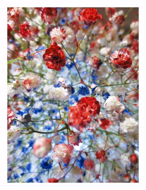 Item #89907656702044614453321074325488619524252991044225286845467716145368222662657 Media