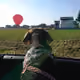43549936073021374559762085276616682406106992241625685015367568376500840300545