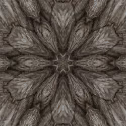 A Knotty Embrace