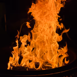 Feel The Heat