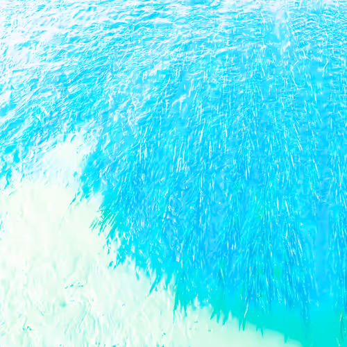 98843954857266856101330559780238873570552098425130206222908041953883124137985