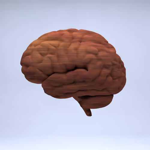 Item #77412820926303725204956055566925211190020908428863033075197849110469375164417 Media