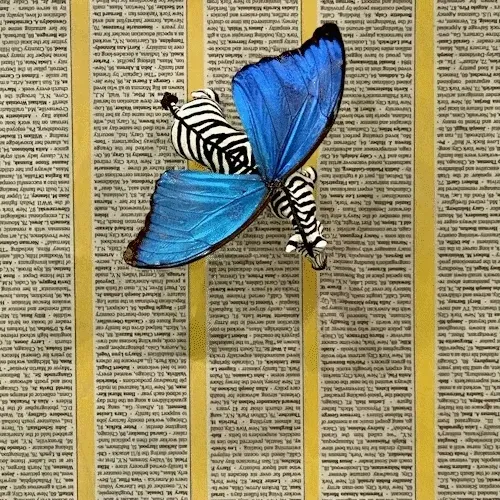 Christine Davis Studio