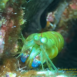 80965803268169370603932631570667161375508893671094224909166964013862737674241