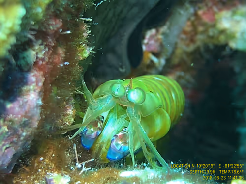 Item #80965803268169370603932631570667161375508893671094224909166964013862737674241 Media