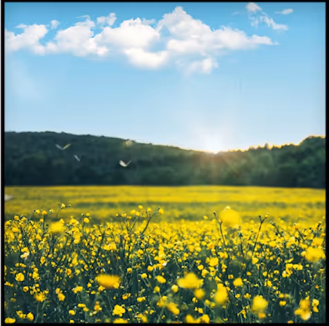 Item #57089496108975796132631207684686173756842270710541485336371069723530217128936 Media