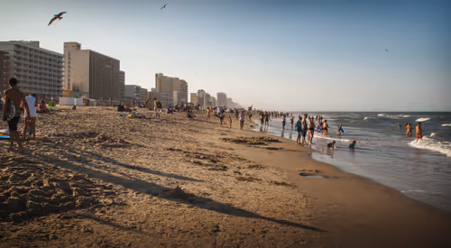 Item #79187722865014741595161937622266778983429669122530667044195600578359207133185 Media