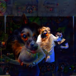 Dog Party
