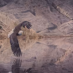 Reflection Touch