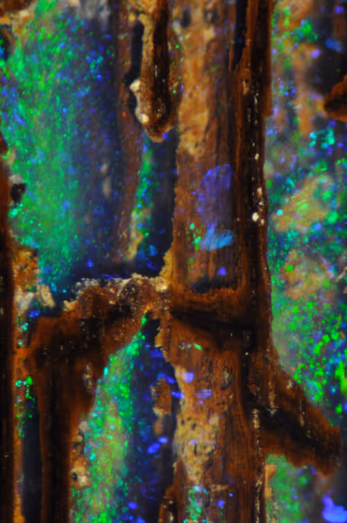 Item #21177589988234382907292029725280025606269119538694693414219510833306304249857 Media