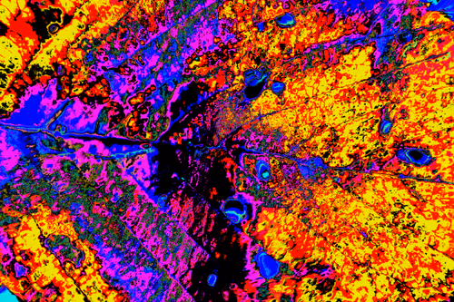 Item #11128123256113201505825332092376579448973501376012613523417643039278577483777 Media