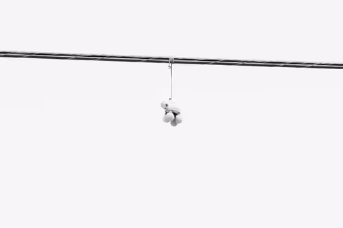 Item #44231692163325033527706634296024509461007343983716307526579858956051260899329 Media