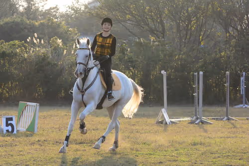 Item #15286439154353413258560728673590493507949724092509999987352070386787144433665 Media