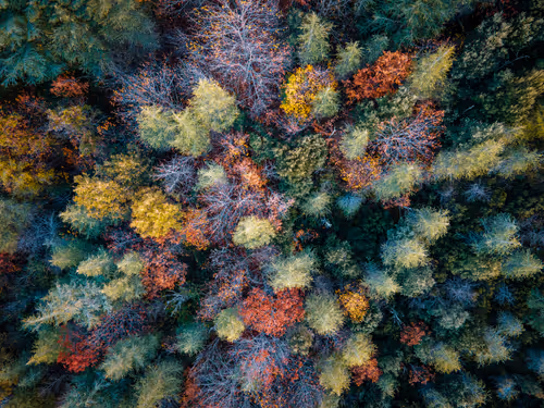 Item #95229034153510470396511515867568444678676379780033711068818665164707320561665 Media