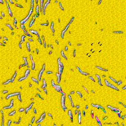 52596772328572645396799225155179162658789326659101193362598998514121129852929