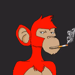 Susmonkey #5 – Rare edition