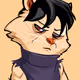 Raccoon-495
