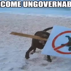BECOME UNGOVERNABLE #2