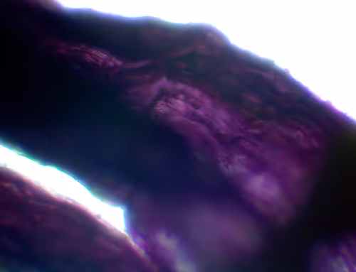 Item #71646257518770613568983710813551014237803002136866425209291833949328261513217 Media