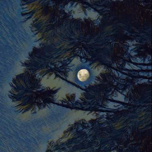 81432545647000425324263784989265008007621652309646222317646499274317155532801