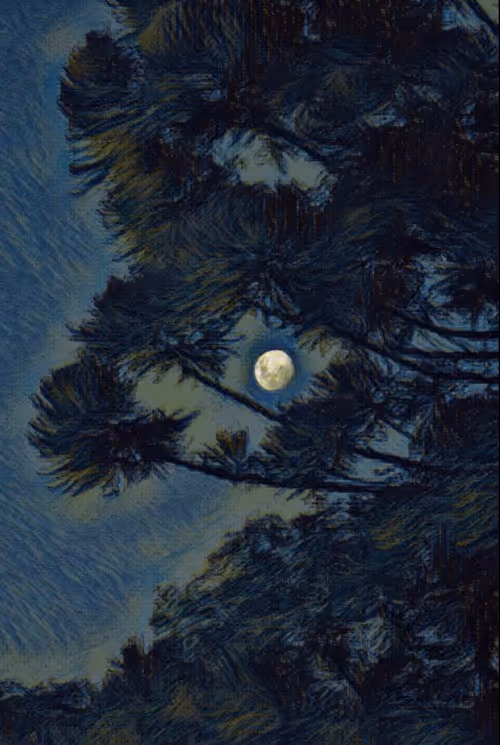 Item #81432545647000425324263784989265008007621652309646222317646499274317155532801 Media