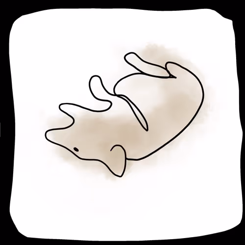 Item #92025406333884422325996072400066703293010170034733604694841300462962412093441 Media