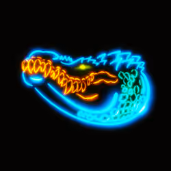 crocodile